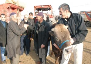 Denetim var,  kurbanlık  yok
